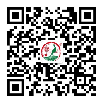 公众号二维码